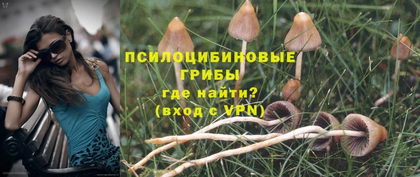 сатива Гусиноозёрск