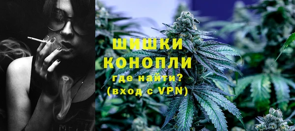 спиды Гусев