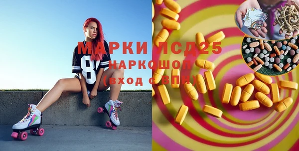 сатива Гусиноозёрск