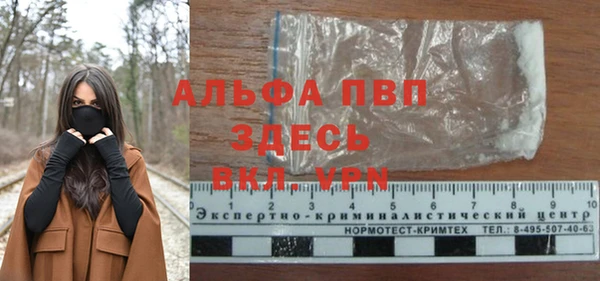 сатива Гусиноозёрск