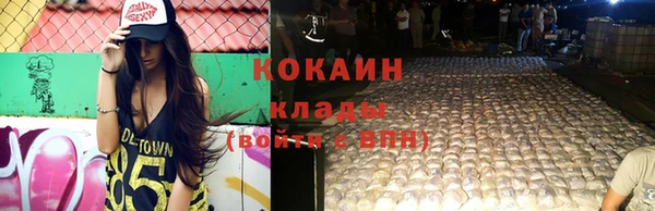 спиды Гусев