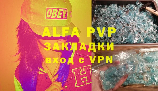 сатива Гусиноозёрск