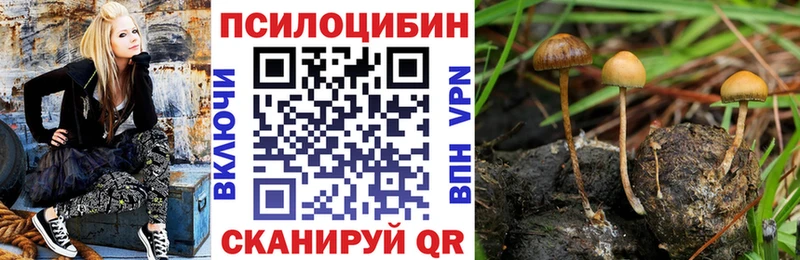 Псилоцибиновые грибы Psilocybine cubensis Перевоз